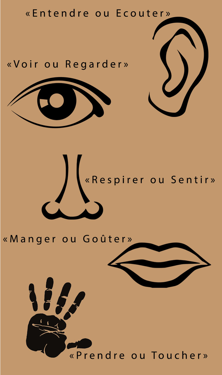 Les 5 sens avec texte1 Les 5 sens avec