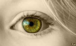 Analyse Sensorielle