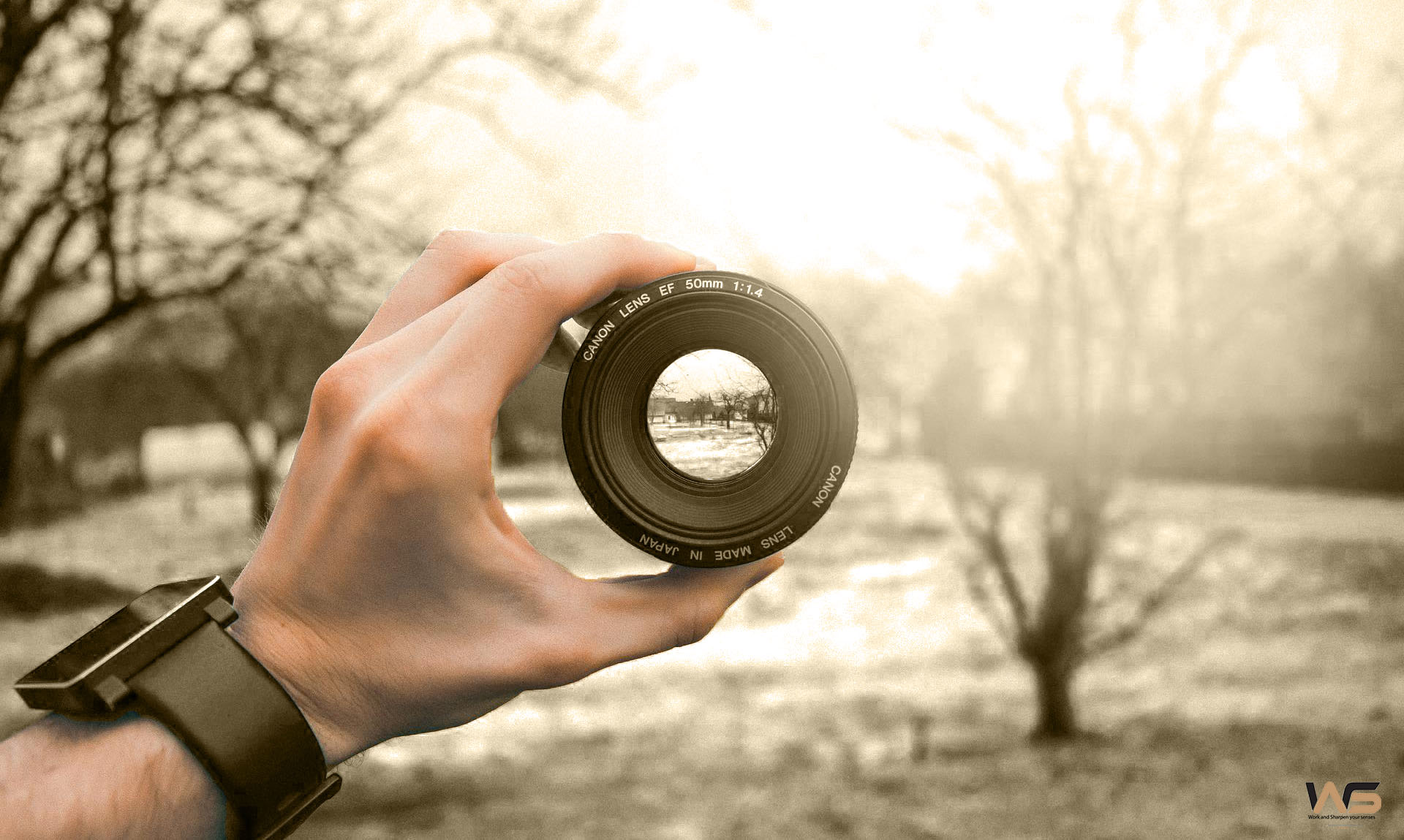 Main et objectif Analyse Sensorielle